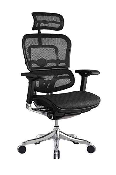 Eurotech Seating Ergo Elite ME22ERGLT High Back Chair, Black
