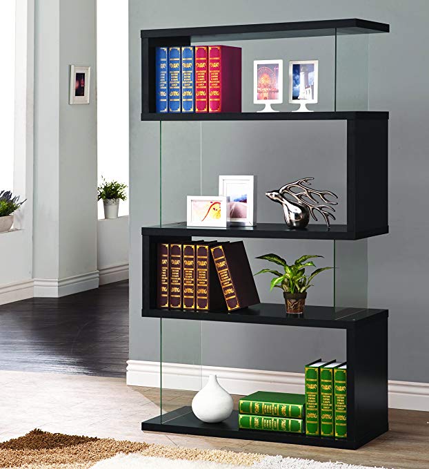 Asymmetrical Snaking Bookcase Black and Clear