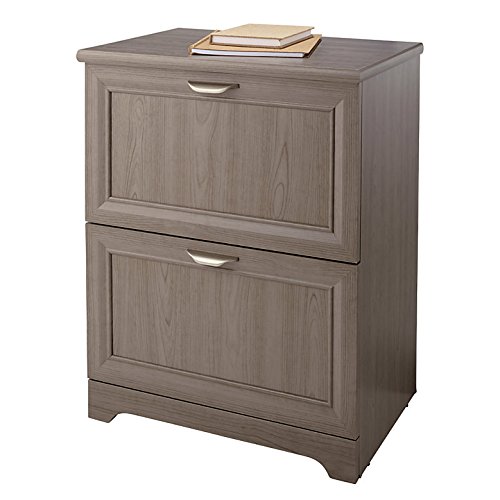 Realspace Magellan Collection 2-Drawer Lateral File Cabinet, 30