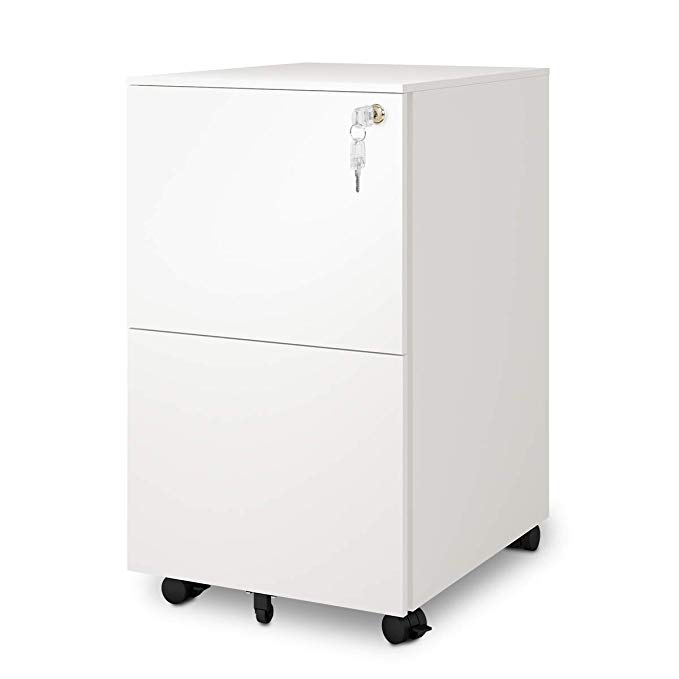 DEVAISE 2-Drawer Mobile File Cabinet with Lock, Commercial Vertical Cabinet in White