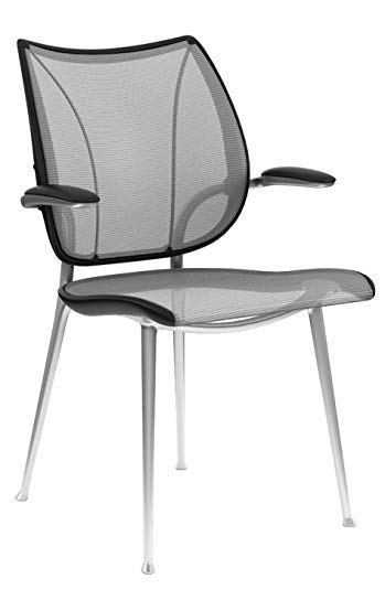 Liberty Side Chair by Humanscale: Fixed Duron Arms - Monofilament Stripe Mesh Textile Seat/Back - Polished Aluminum Frame/Platinum Mesh