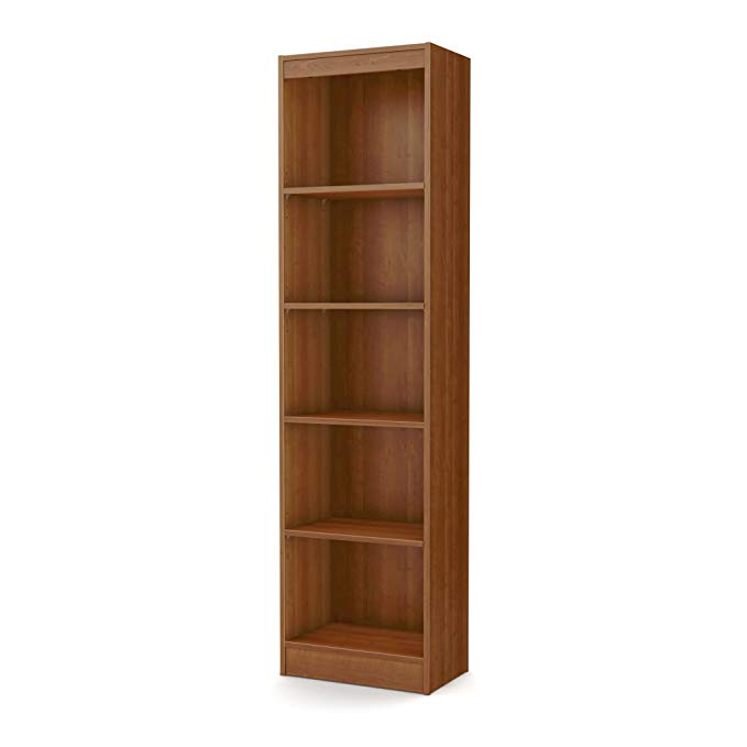 Latest Tall Skinny Bookcase Info