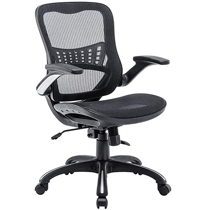 Kerms Ergonomic Adjustable Swivel Office Chair Lumbar Support Rollerblade Wheels-Mid Back Breathable Mesh-Thick Seat Cushion-Flip Up Arms,Desk Chair Black／Silver