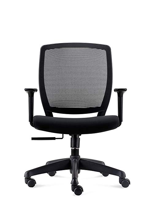 Chairlin Office Chair Lumbar Support Task Chair Adjustable Armrest Home Desk Chair