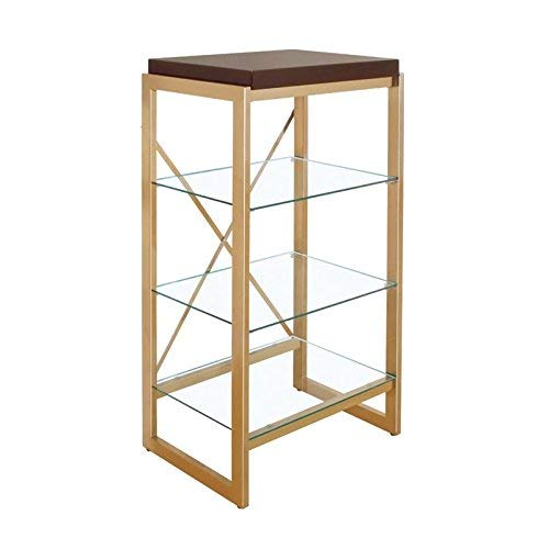 Furniture of America Ruptin 4 Shelf Metal Bookcase in Gold